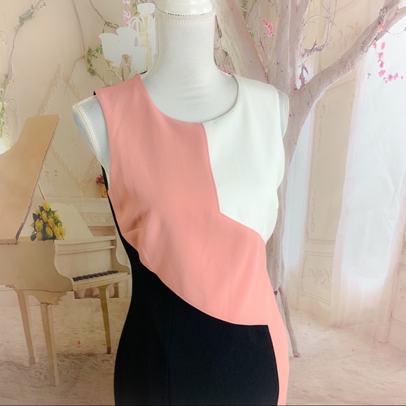 NEW WHBM Diagonal Colorblock Sheath Dress - Picture 7 of 11